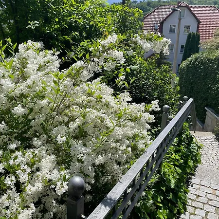 Διαμέρισμα Gaestehaus Brandelik Wernigerode